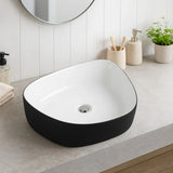 Black and white sink on a bathroom counter with a mirror and plants in the background.