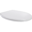 White toilet seat on a white background