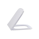 White toilet seat on a white background