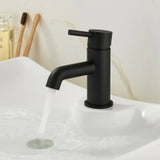 Black faucet on a white sink with a blurred background