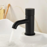 Black faucet on a white sink with a neutral background