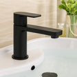 Black faucet on a white sink with a blurred background